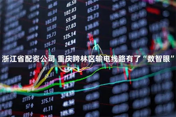浙江省配资公司 重庆跨林区输电线路有了“数智眼”