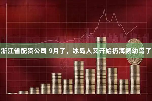 浙江省配资公司 9月了，冰岛人又开始扔海鹦幼鸟了