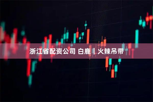 浙江省配资公司 白鹿｜火辣吊带